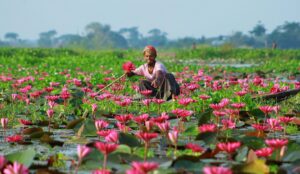 28 Important Facts About Bangladesh Everyone Must Know